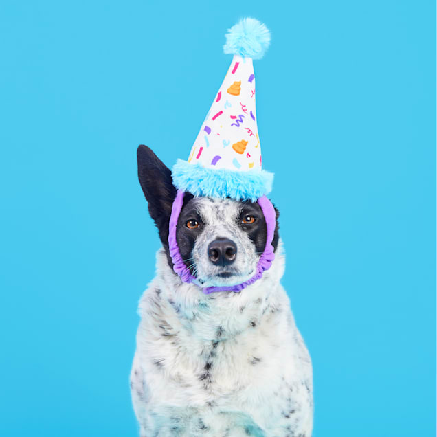 Petco dog birthday discount