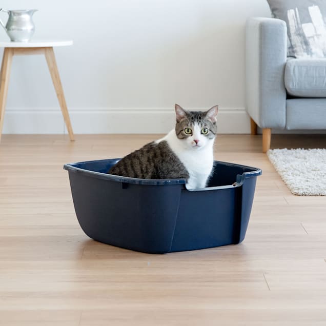 Frisco high sale sided litter box