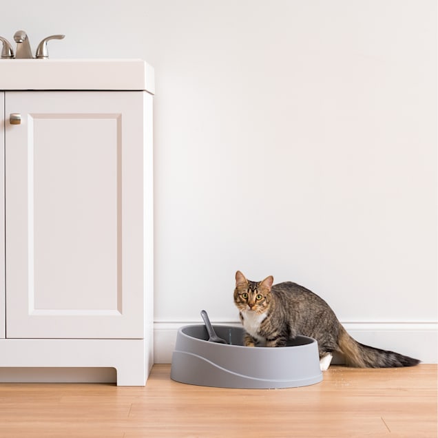 Iris Gray Open Top Oval Cat Litter Pan with Litter Scoop Petco