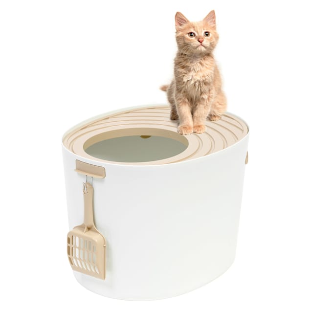 Iris top entry discount cat litter box medium