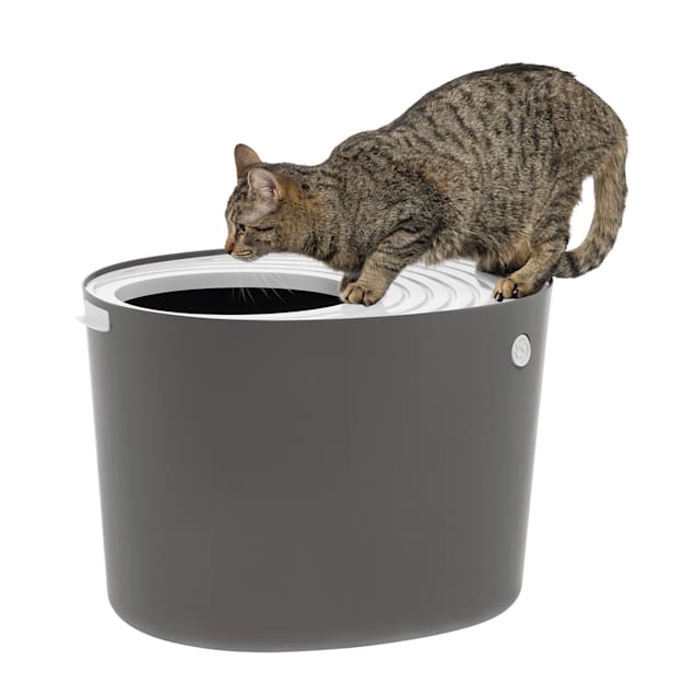 Petco top entry litter box cheap