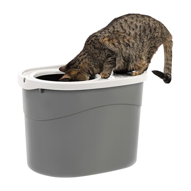 Petco top entry litter box store