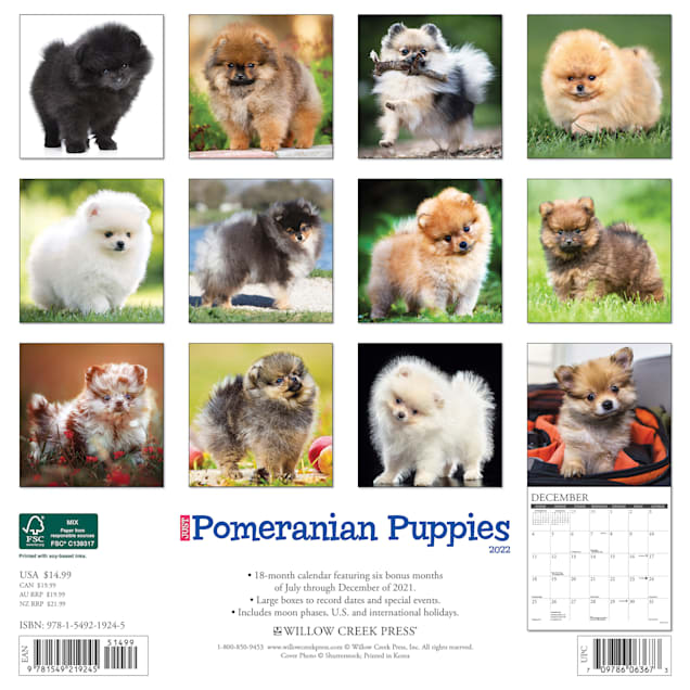 Petco 2022 Calendar