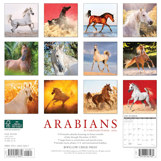 Silver Creek Press 2022 American Cowboy Wall Calendar