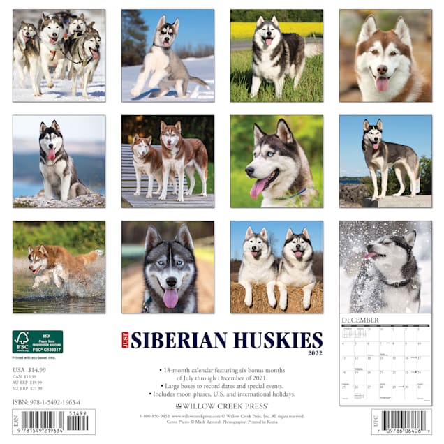 Husky Schedule 2022 Willow Creek Press Just Siberian Huskies 2022 Wall Calendar | Petco