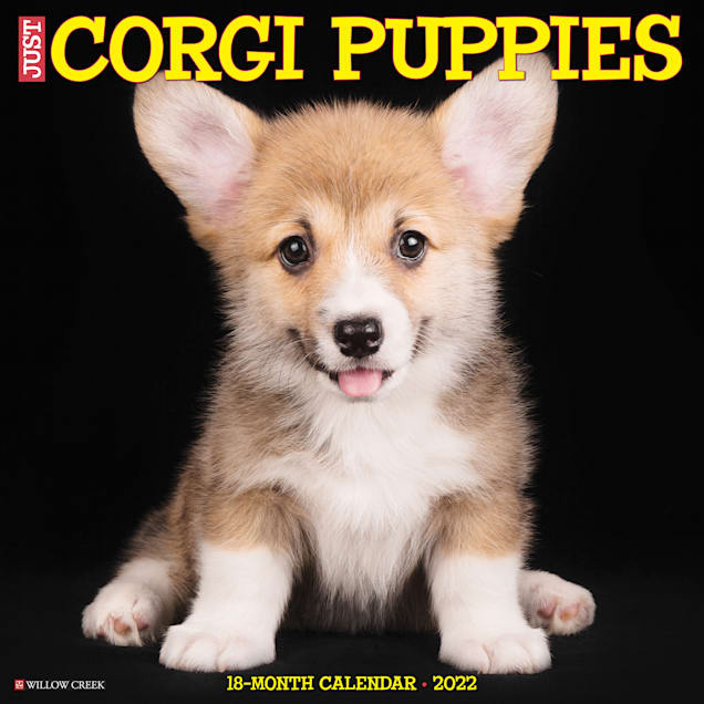 Petco 2022 Calendar