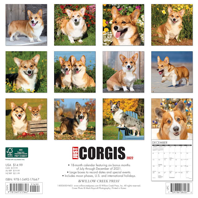 Corgi Calendar 2022 Willow Creek Press Just Corgis 2022 Wall Calendar | Petco