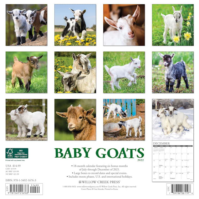 Petco 2022 Calendar