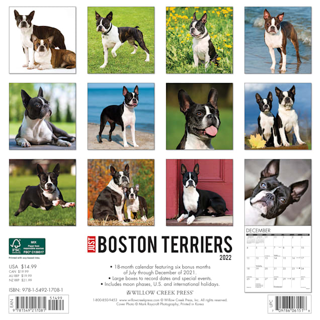 Willow Creek Press Just Boston Terriers 2022 Wall Calendar | Petco