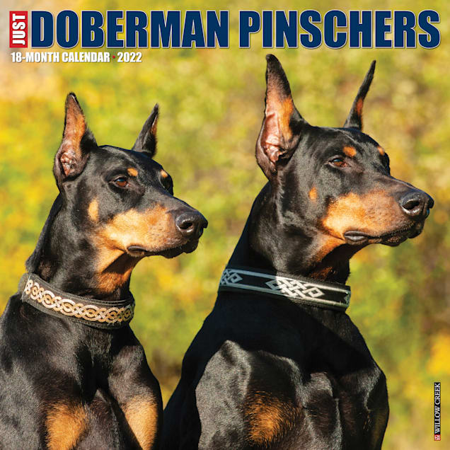 Petco 2022 Calendar
