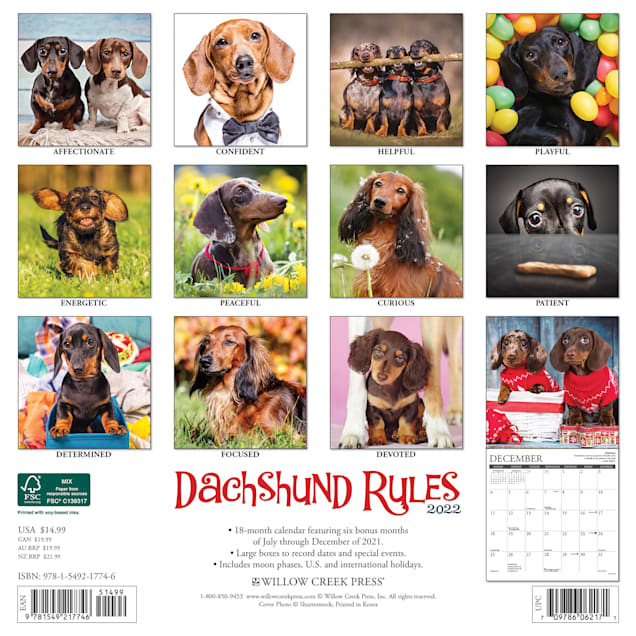 Dachshund Calendar 2022 Willow Creek Press Dachshund Rules 2022 Wall Calendar | Petco