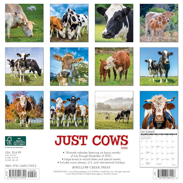 Willow Creek Press Just Cows 2022 Wall Calendar | Petco