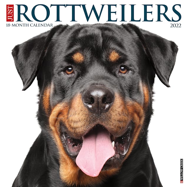 Petco 2022 Calendar