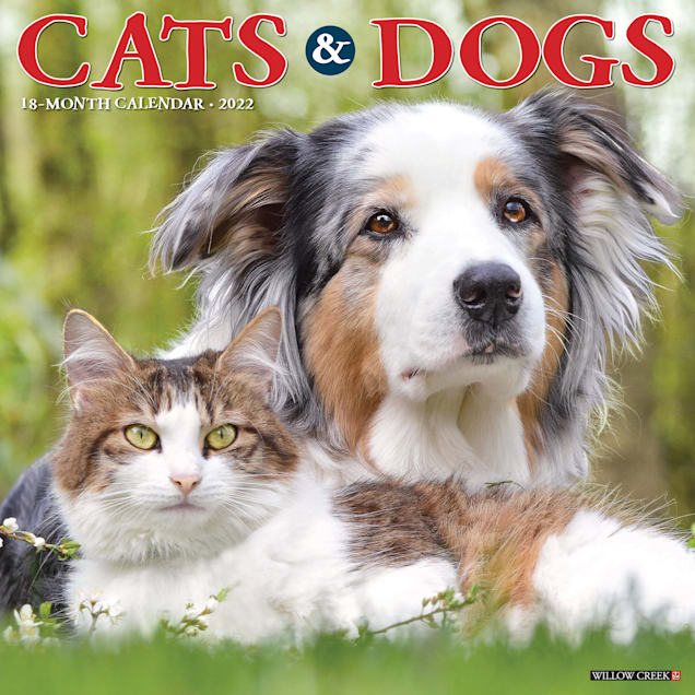 Petco 2022 Calendar