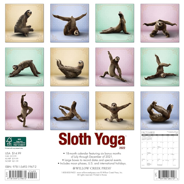 Willow Creek Christmas Schedule 2022 Willow Creek Press Sloth Yoga 2022 Wall Calendar | Petco