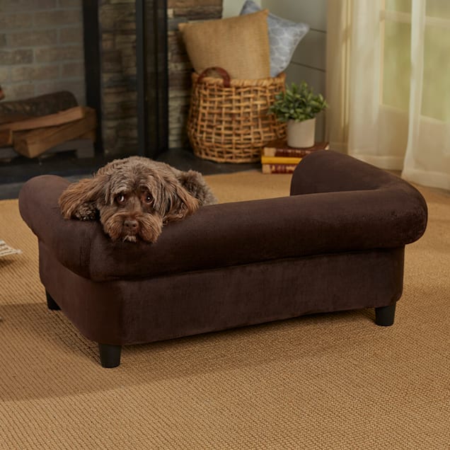 Brown dog sofa deals