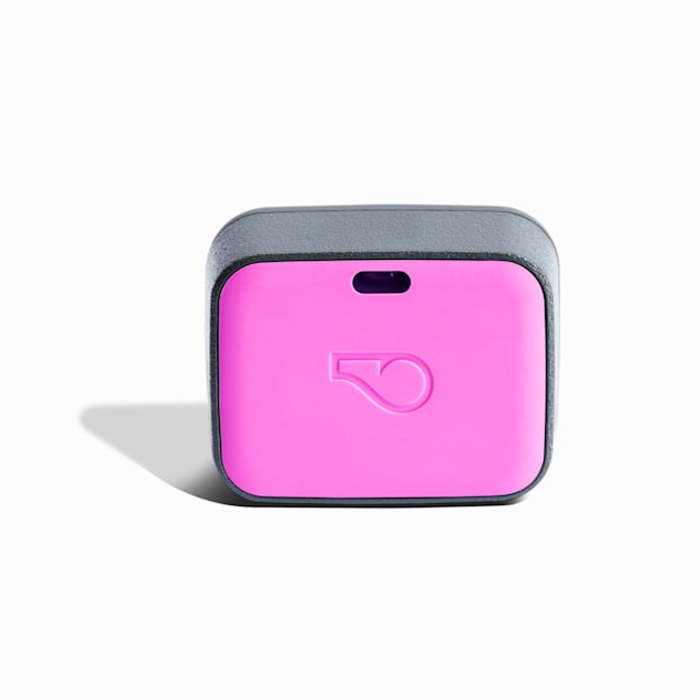 Whistle Magenta GO Explore Dog GPS Tracking Device and Pet Health Monitoring System - Carousel image #1