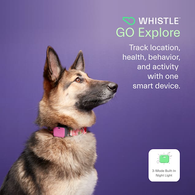 Whistle Magenta GO Explore Dog GPS Tracking Device and Pet Health Monitoring System