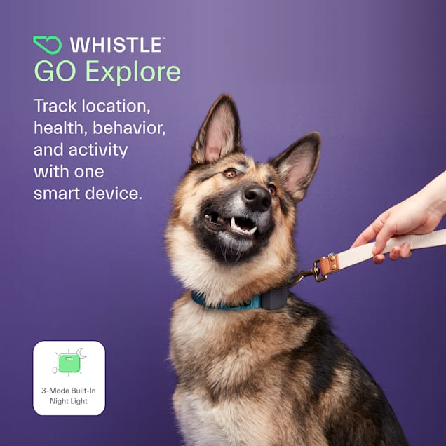 Whistle gps deals for cats
