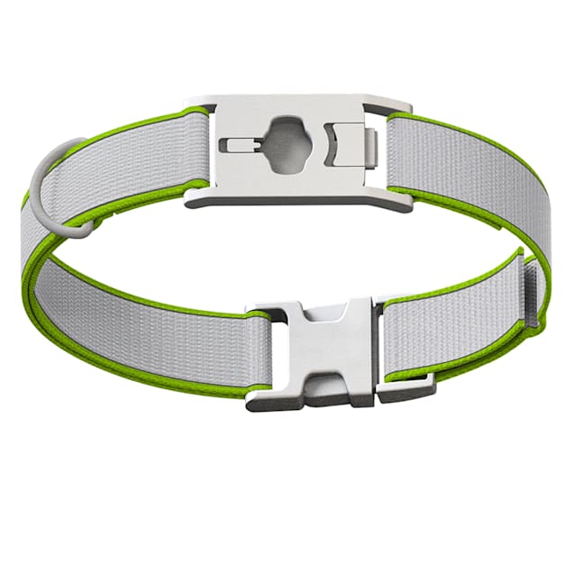 Whistle Green Twist & Lock Dog Collar, Medium - Carousel image #1