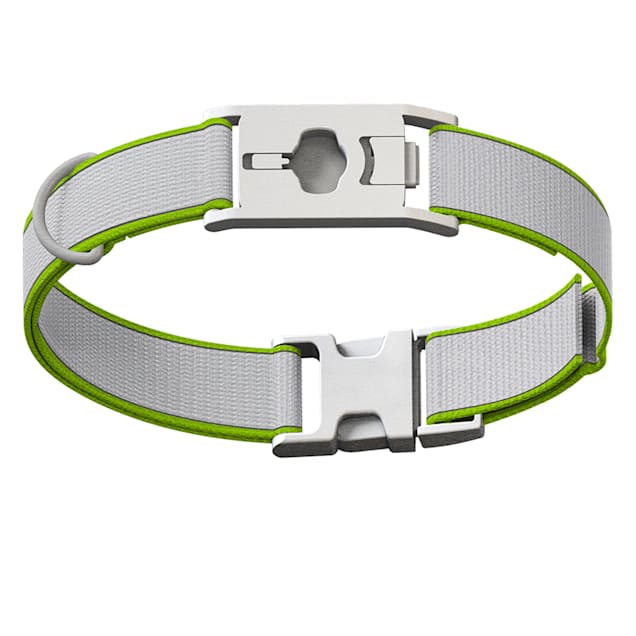 Whistle Green Twist Lock Dog Collar Medium Petco