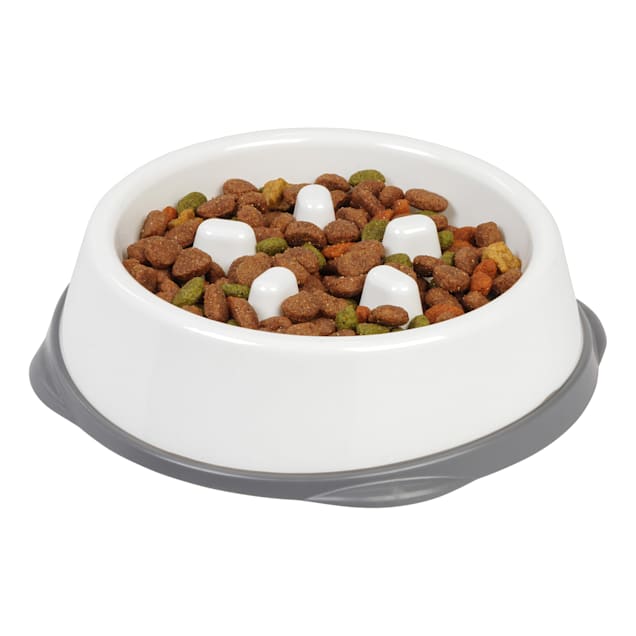 Petco slow feed cat bowl 2025