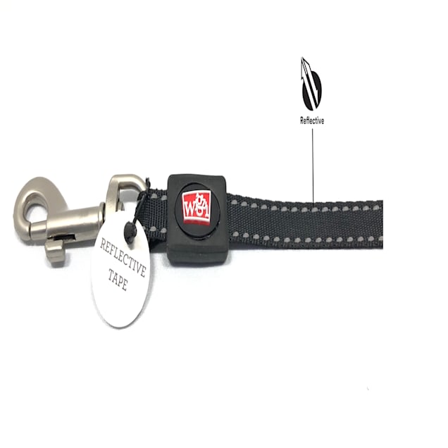 Wigzi gel leash sales petco