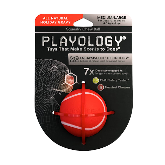 Playology Squeaky Chew Ball Holiday Gravy Scented Dog Toy, Medium - Carousel image #1
