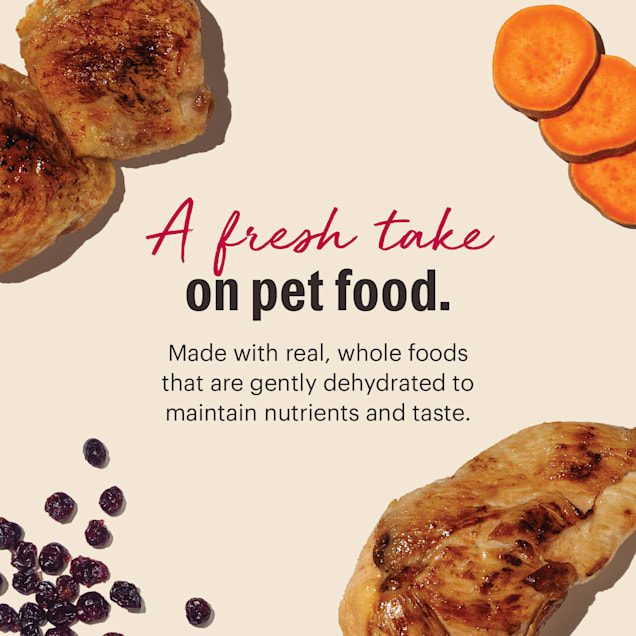 The Honest Kitchen Dehydrated Grain Free Chicken Cat Food 4 lbs