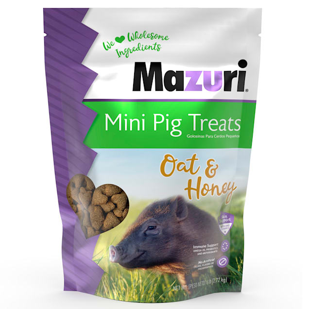 Mazuri Oat Honey Mini Pig Treats 6 lbs. Petco