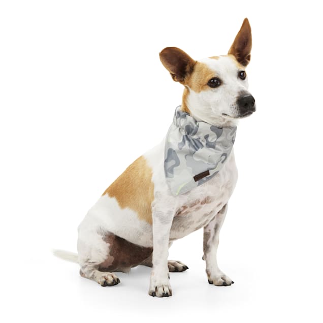 Reddy Grey Reversible Bandana Dog Collar, Small/Medium - Carousel image #1