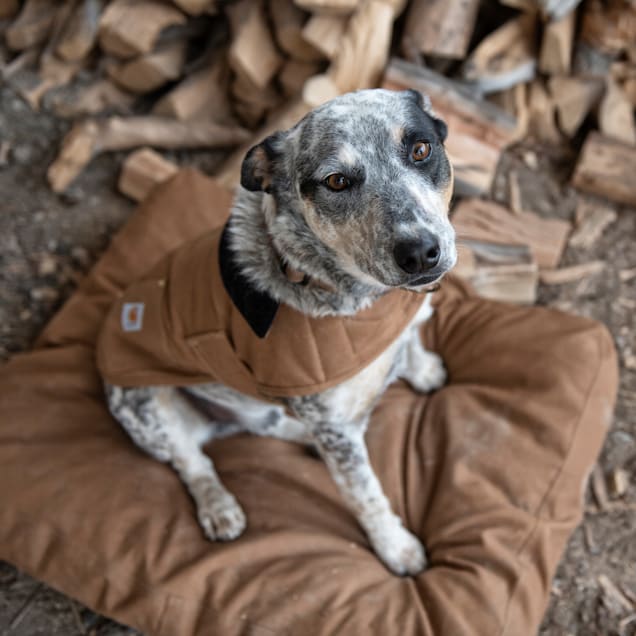 Carhartt Brown Durable Canvas Dog Bed, 28