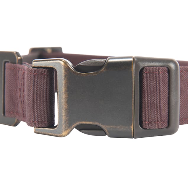 Carhartt journeyman 2024 dog collar