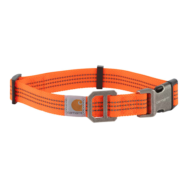Safety orange dog collar store