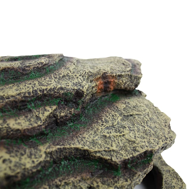 Komodo Resin Turtle Hideaway, Medium | Petco