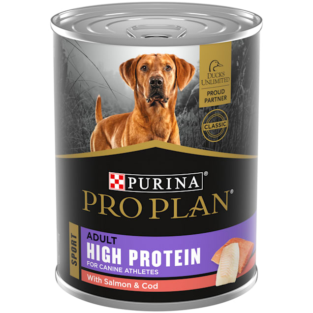 Purina Pro Plan Sport High Protein With Salmon & Cod Entree Wet Dog Food, 13 oz., Count of 12 - Carousel image #1