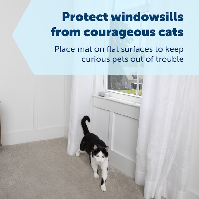 Cat training mat outlet