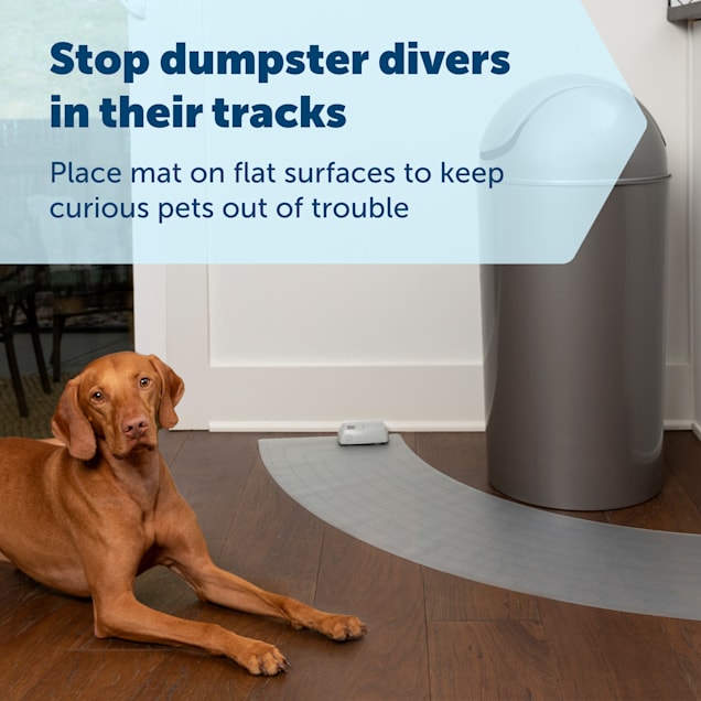 PetSafe ScatMat Curved Indoor Training Mat 50 L x 12 W