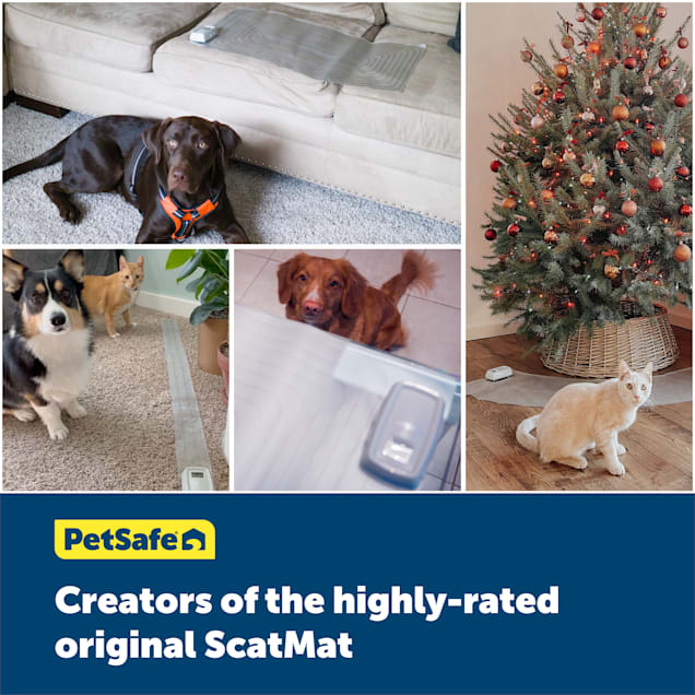 Petsafe mat hotsell
