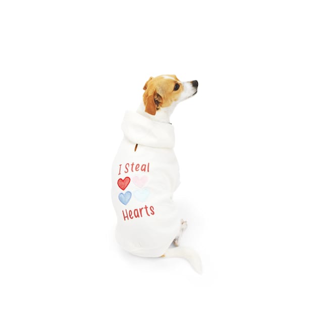 YOULY Steal Hearts Dog Hoodie, Large - Carousel image #1