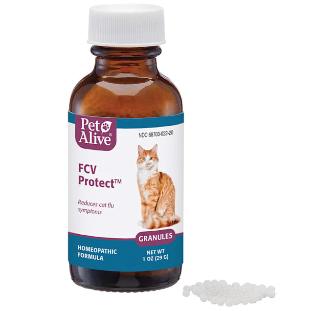 Holistic medicine for cats on sale