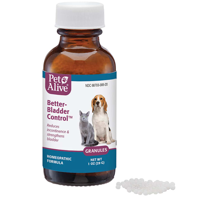 Canine incontinence medication hot sale