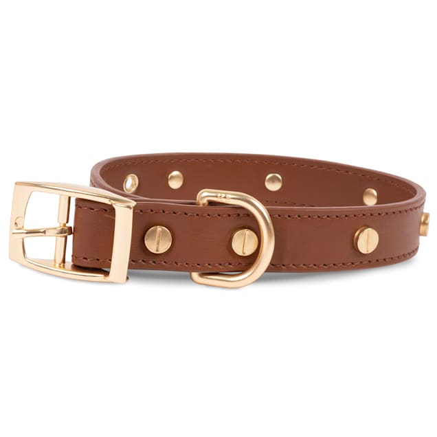 Harry Barker Riveted Leather Dog Collar, Small Petco