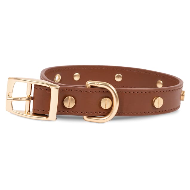 Petco leather dog collar cheap