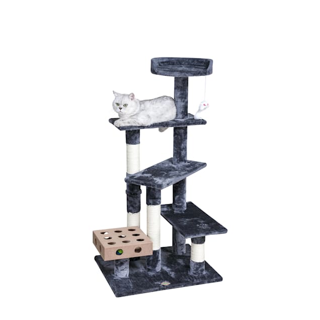 Petco cat stands outlet