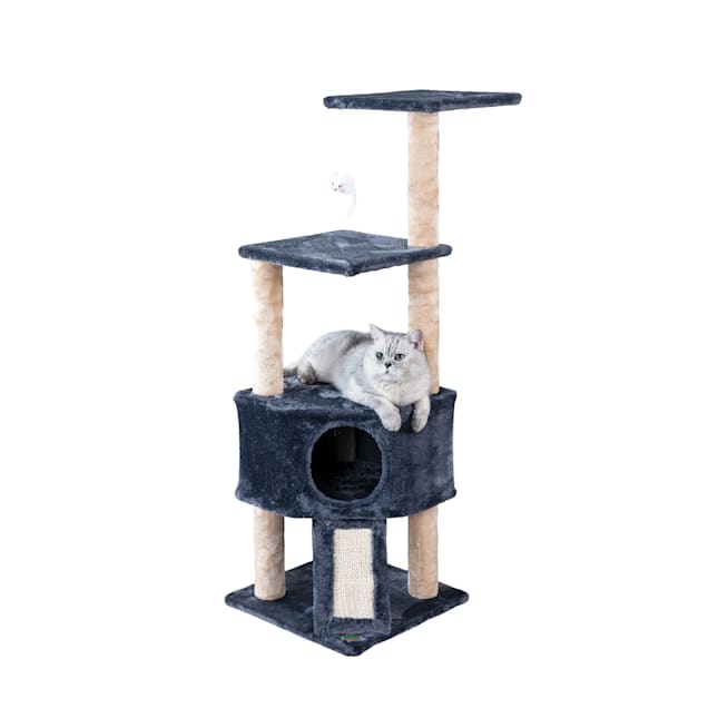 Petco cat stands outlet