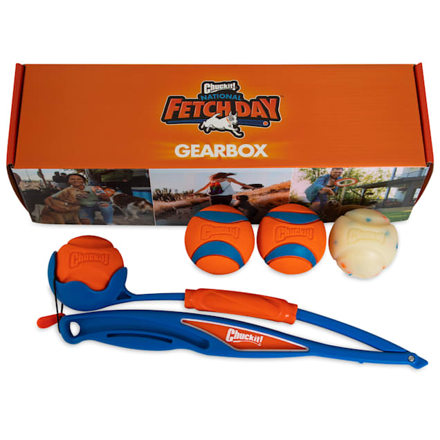 Fetch sales box dog