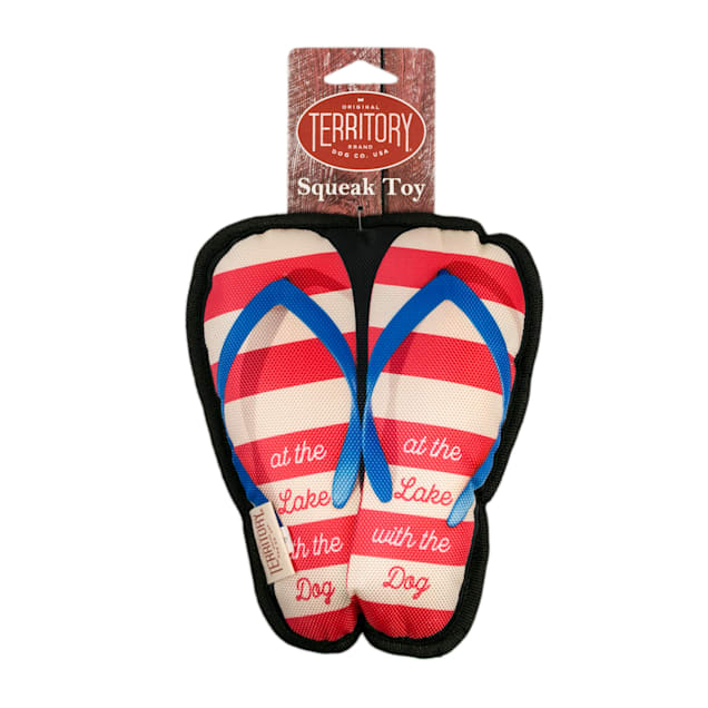 Territory Flip Flop Dog Toy Medium Petco