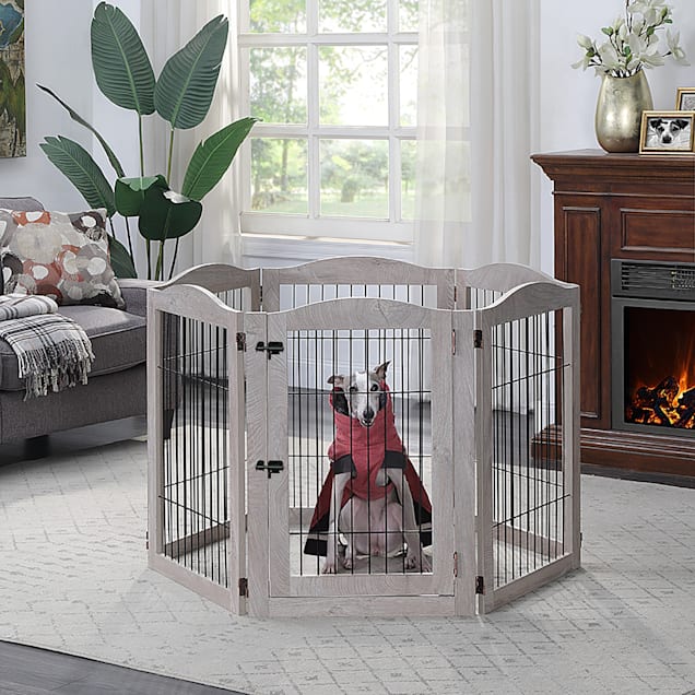 5 foot pet gate online
