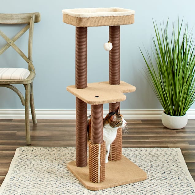 Medium sized cat tree top